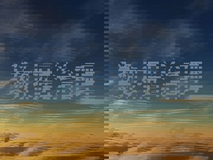 数据治理