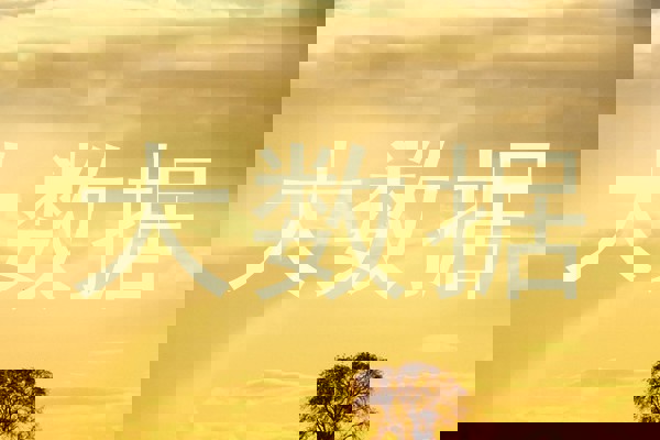 大数据