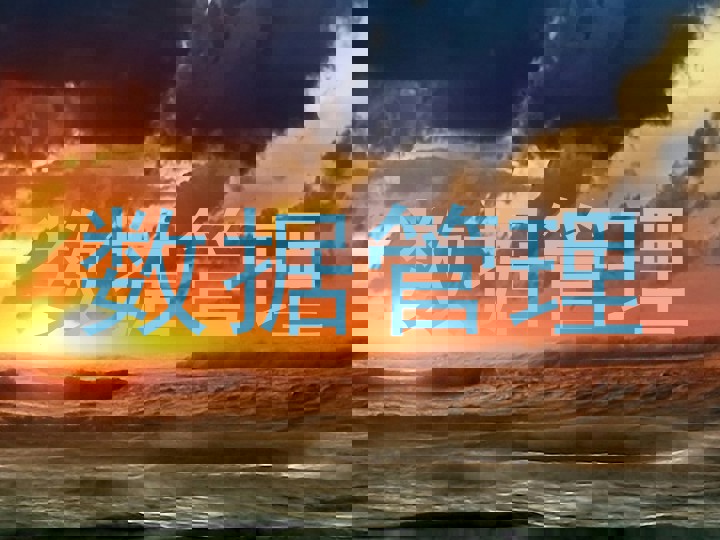 数据管理