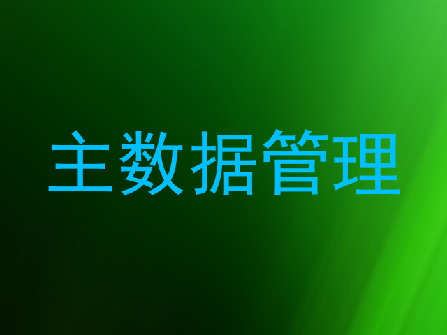 主数据管理