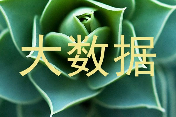 大数据