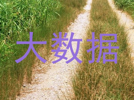 大数据