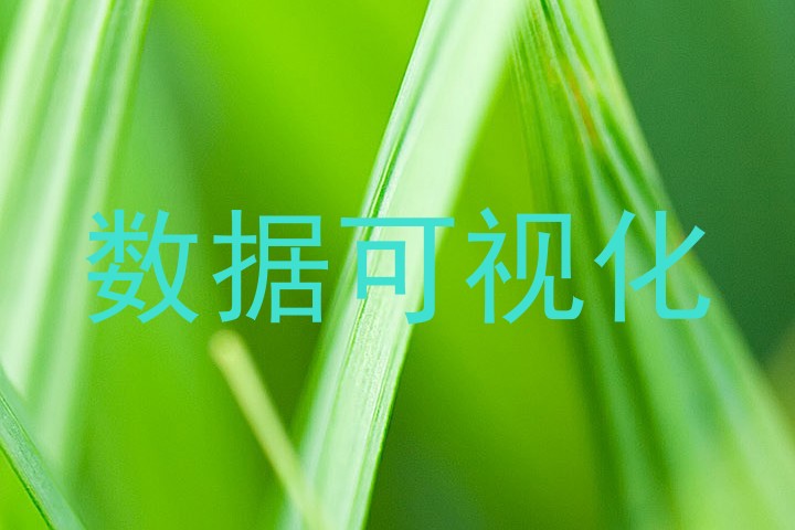 数据可视化