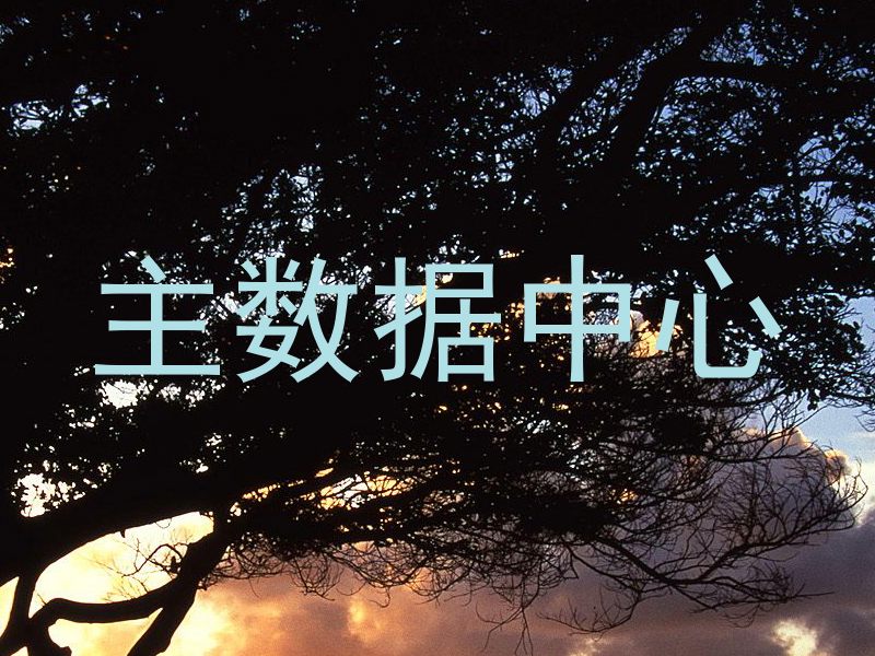 主数据中心