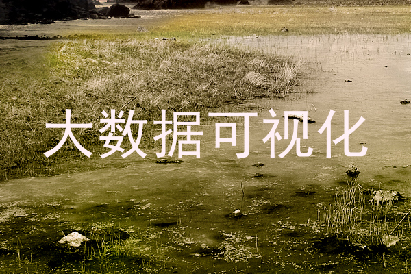 大数据可视化