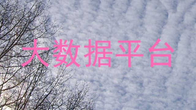 大数据平台