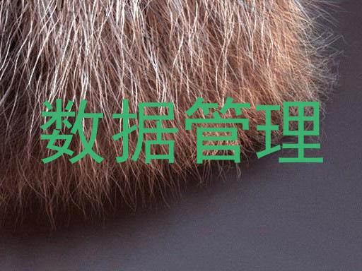 数据管理