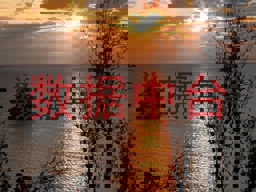 数据中台