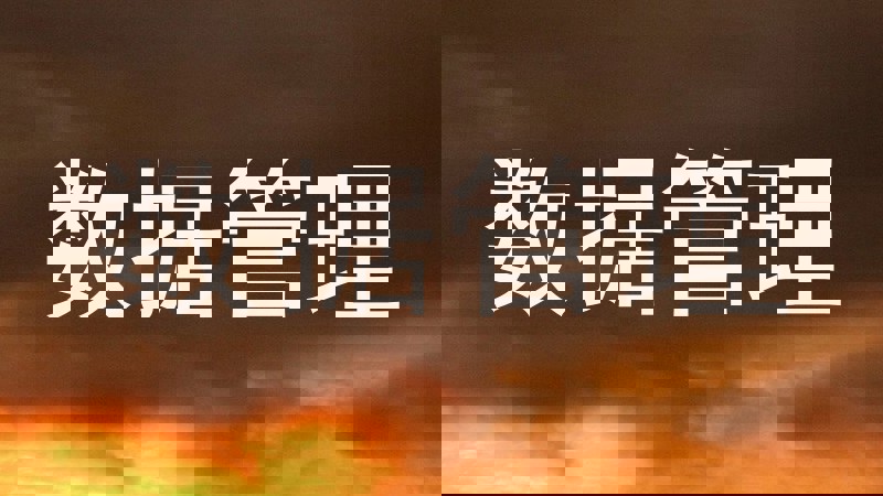 数据管理