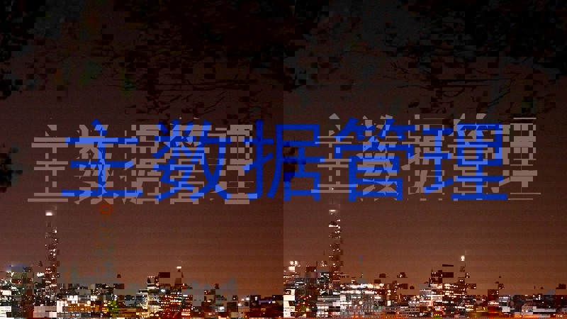 主数据管理