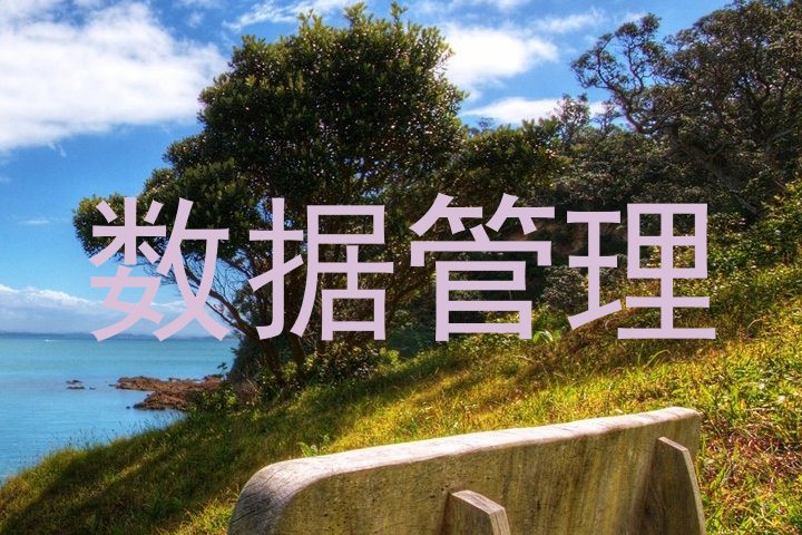 数据管理