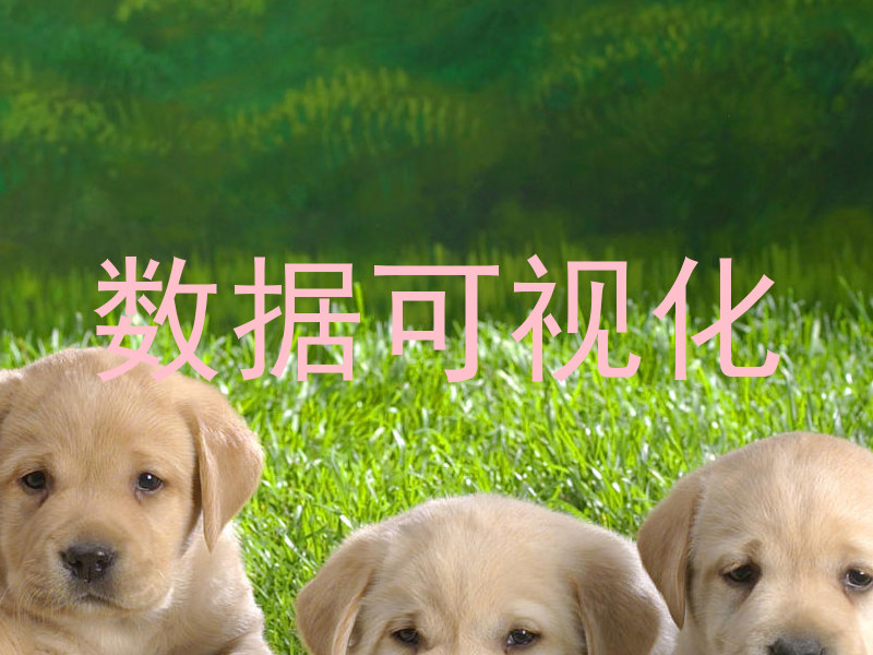数据可视化