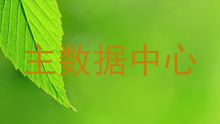 主数据中心