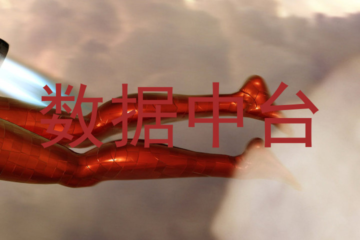 数据中台