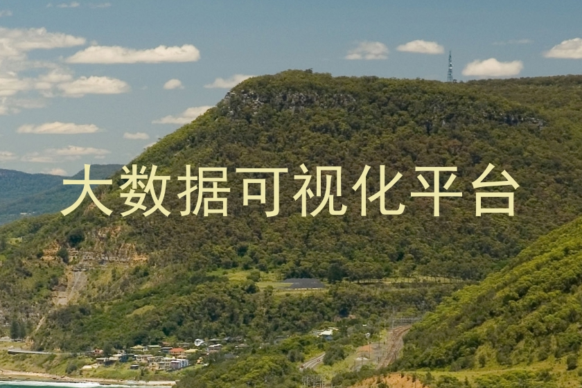 大数据可视化平台