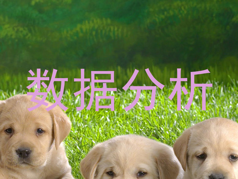 数据分析