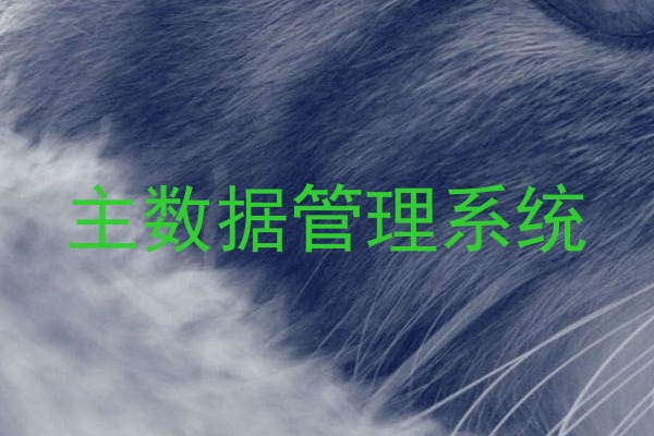 主数据管理系统