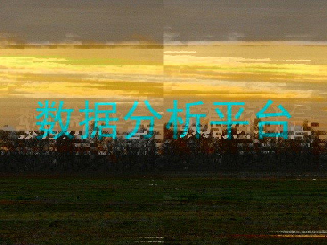 数据分析平台