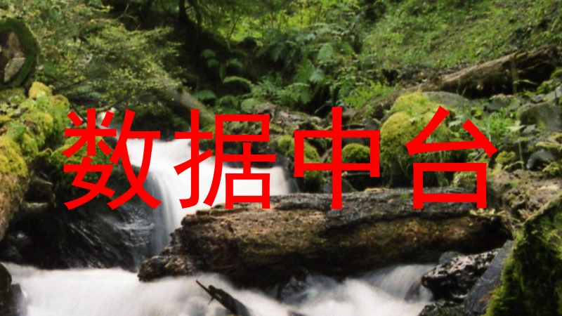 数据中台
