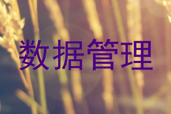 数据管理