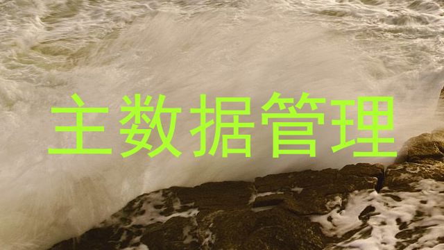 主数据管理