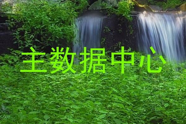 主数据中心