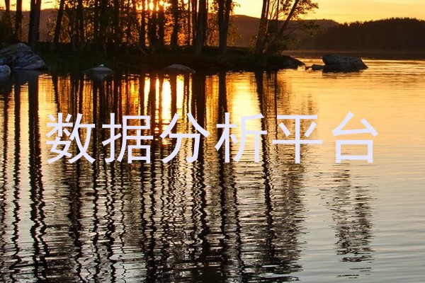 数据分析平台