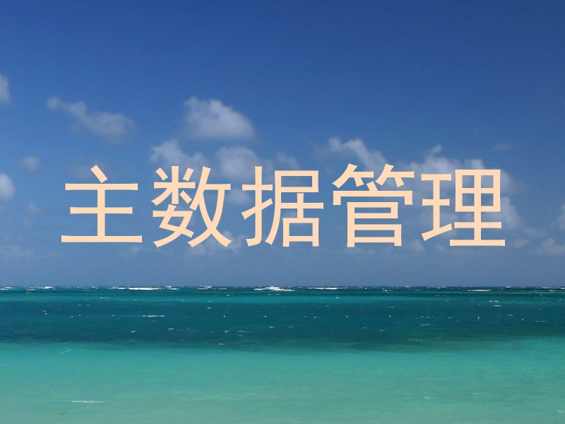 主数据管理
