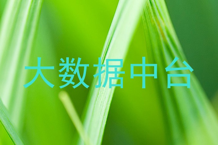 大数据中台