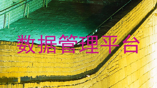 数据管理平台