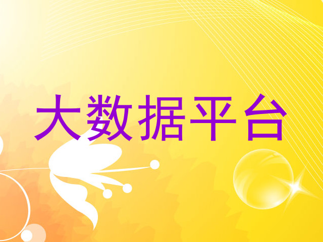 大数据平台