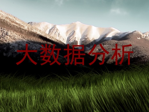 大数据分析