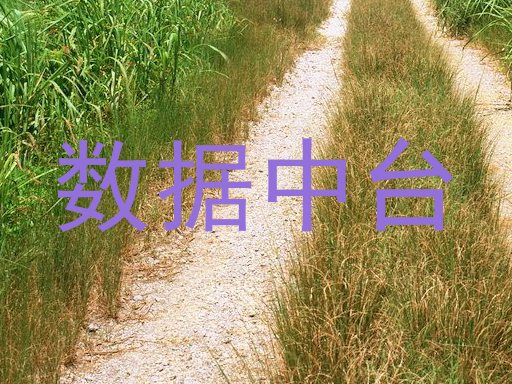 数据中台