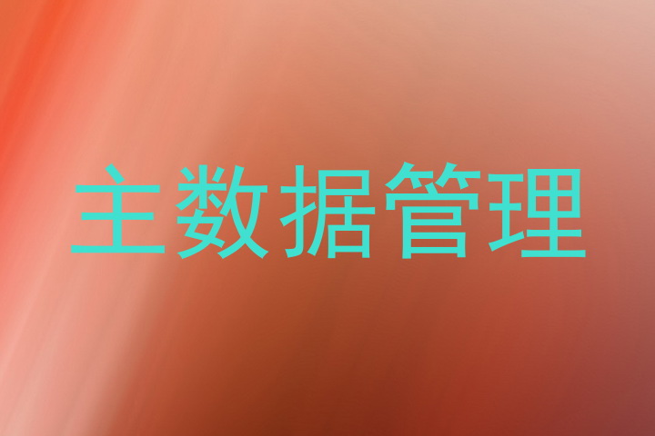 主数据管理