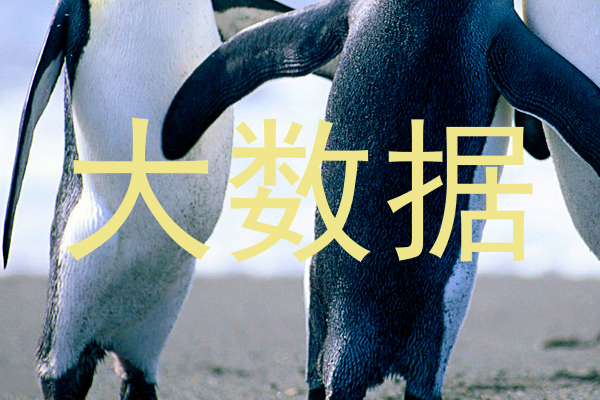 大数据