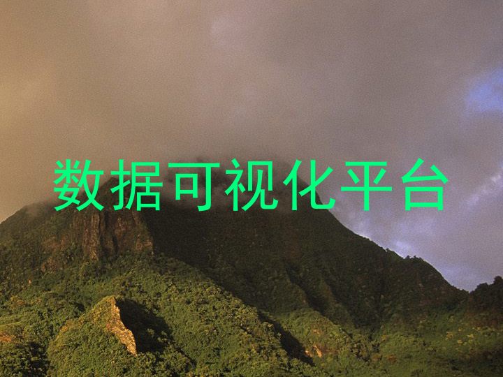 数据可视化平台