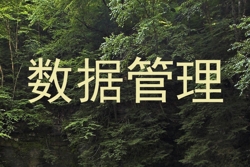数据管理