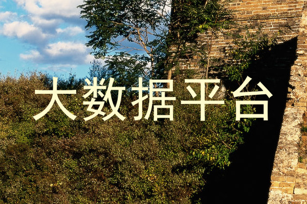大数据平台