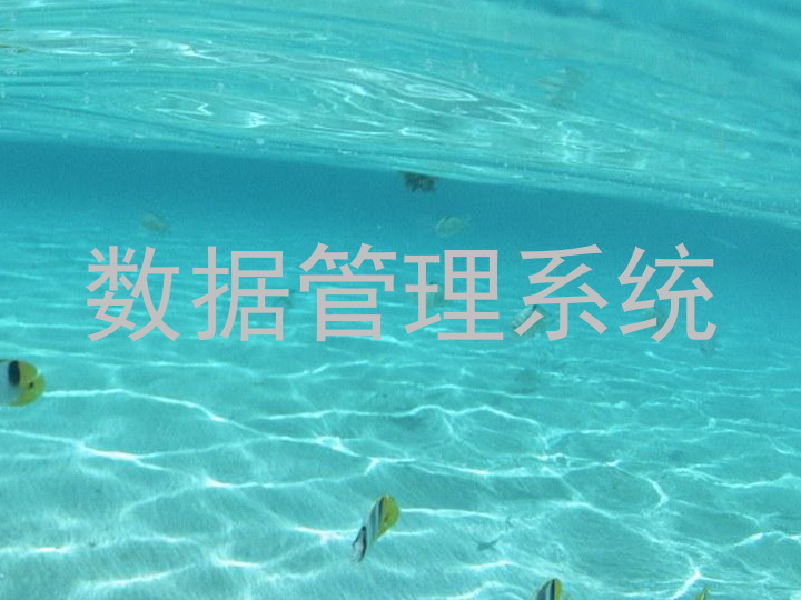 数据管理系统