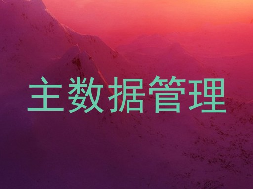 主数据管理