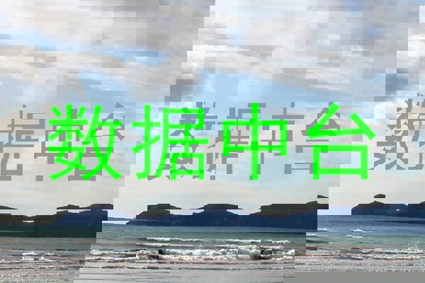 数据中台