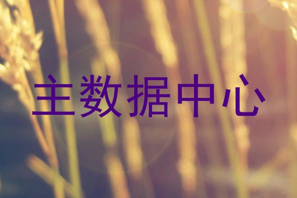 主数据中心