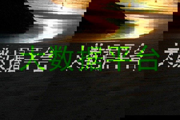 大数据平台