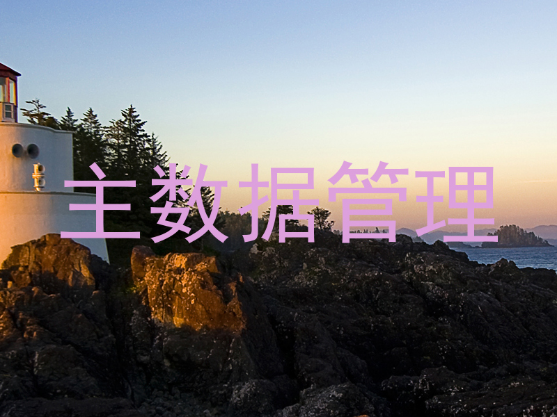 主数据管理