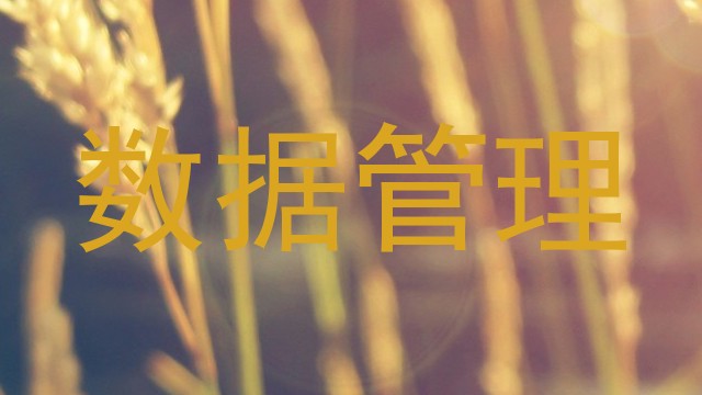数据管理
