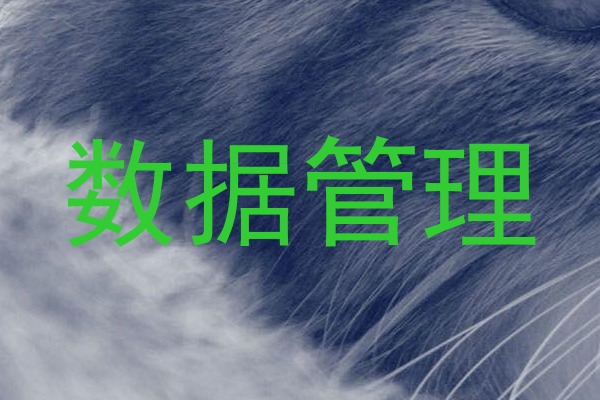数据管理