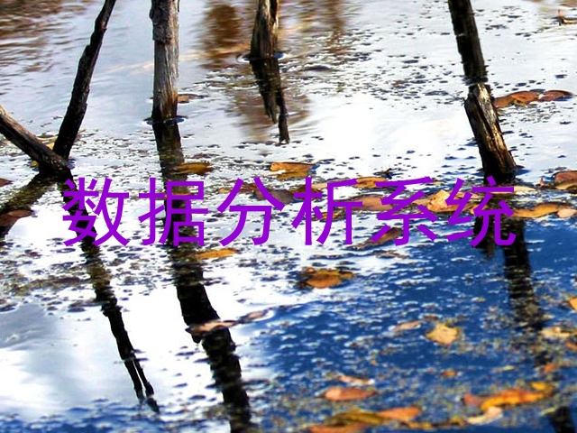数据分析系统
