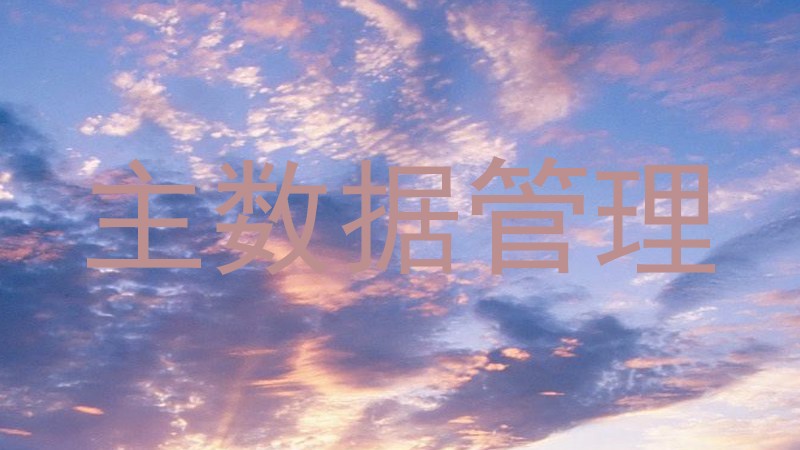 主数据管理