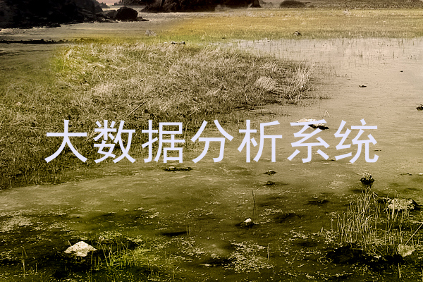 大数据分析系统