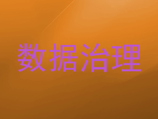 数据治理